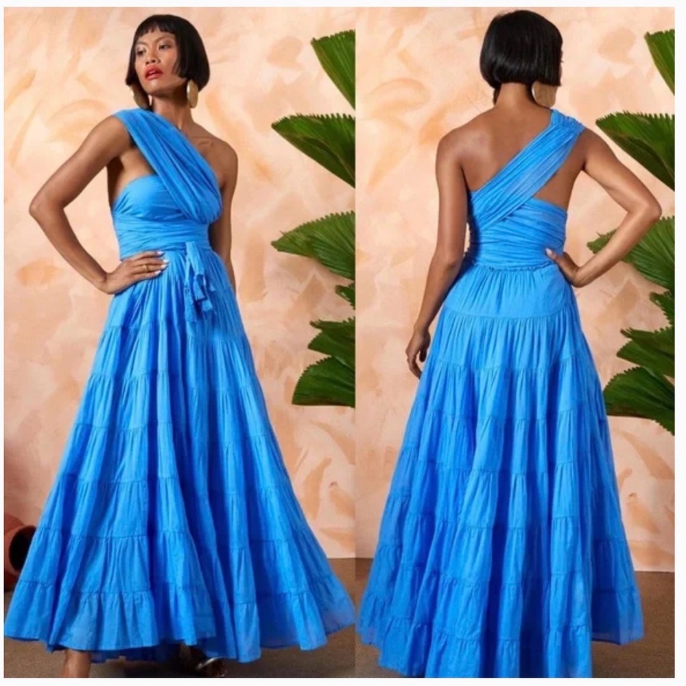 Erika Pena Selena Maxi Dress Vibrant Blue Halter Maxi Dress - Picture 3 of 4